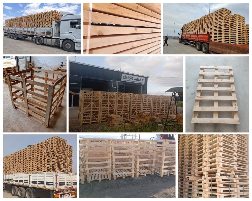 Bruges Houten Kisten, Europallets Groothandel Kopen